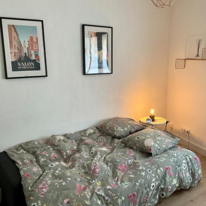 Appartement Hyper Centre Climatise Salon-de-Provence Esterno foto